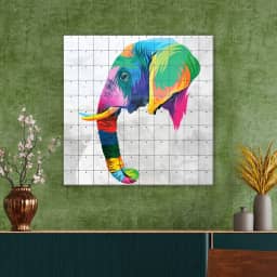 Multicolored Elephant Head