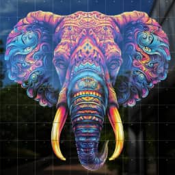 Elephant Beautiful PopArt