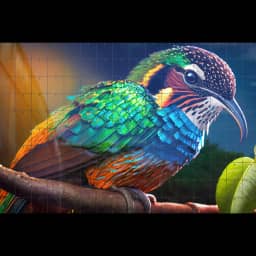 Most Colorful Birds You Have to See to Believe