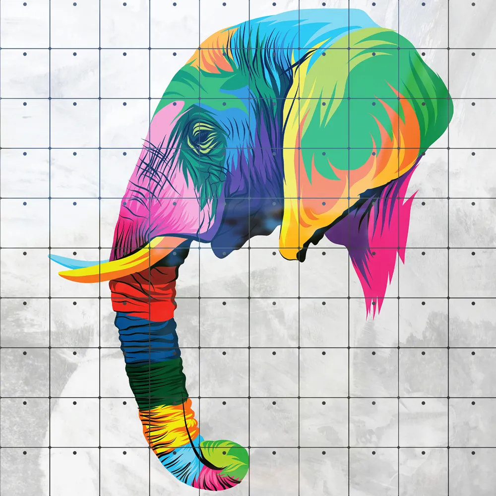 Multicolored Elephant Head